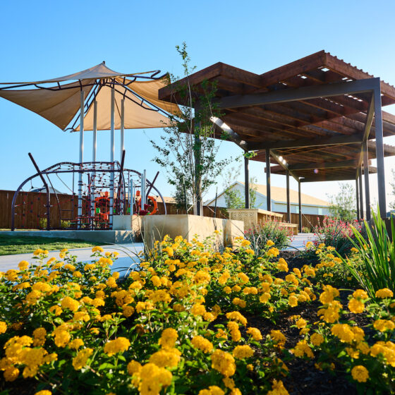 Beautiful yellow spring blooms populate just alongside the Ana Park at Vida.