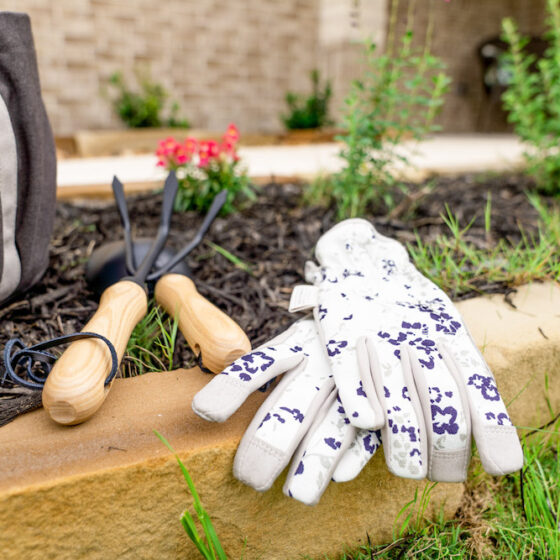 a gardening glove lies in a garden bed