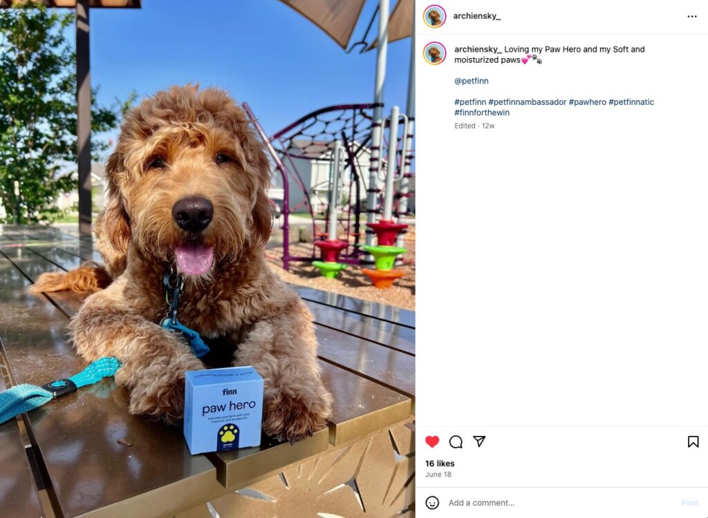 Archie the doodle poses for a petfinn product on Instagram