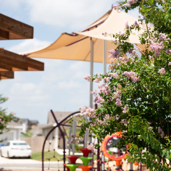 A focus on a crepe myrtle tree with Ana Park in the background