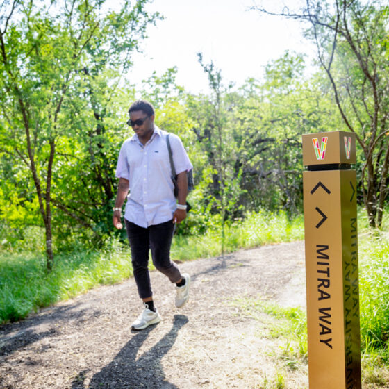 A student with a backpack and sneakers walks along the path of the Madla Greenway with dappled light amidst the trees.