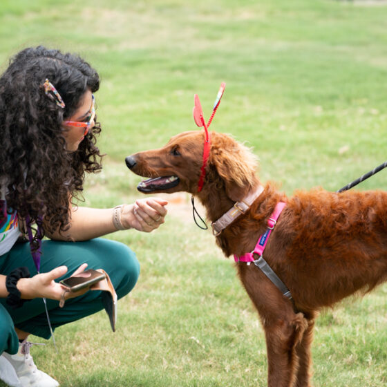 A woman with curly hair and sunglasses crouches on the grass in VIDA San Antonio community, interacting with a brown dog that's wearing red accessories. The attentive dog is on a leash, enjoying the vibrant outdoor atmosphere of this welcoming grassy area.