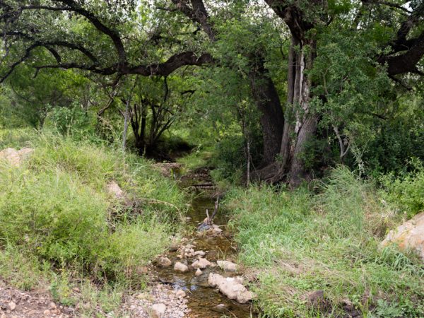 A trickling stream of water along the Madla Greenway